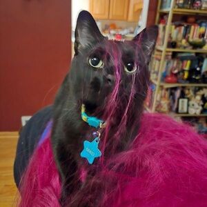 Meet your Posher, Heather